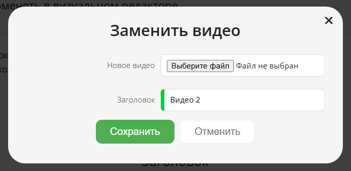 Окно Заменить видео
